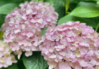 如何克服三分钟热度 总是三分钟热度该怎么办