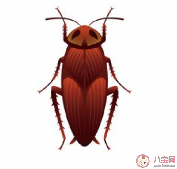 蚂蚁庄园5月27日正确答案：为什么平时打蟑螂很难打中