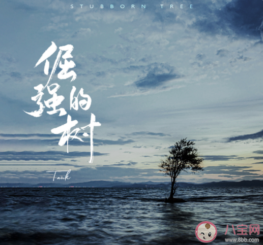 tank新歌《倔强的树》歌词是什么 倔强的树歌词信息介绍