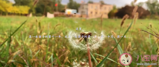 张杰《天空有雨 伞下有你》歌词是什么 歌曲信息介绍