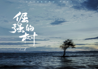 tank新歌《倔强的树》歌词是什么 倔强的树歌词信息介绍