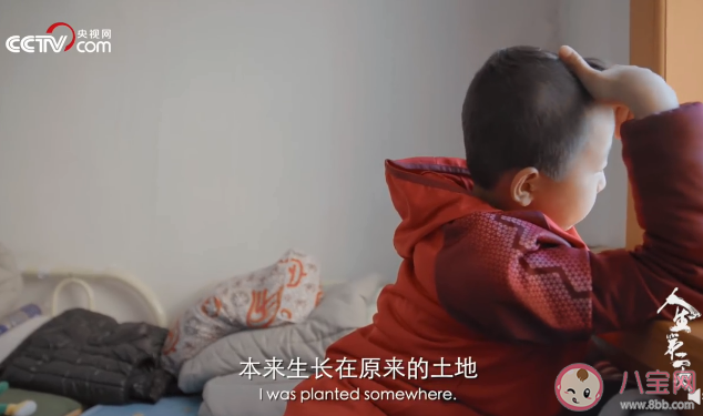 原生家庭破碎的孩子有多敏感 原生家庭给你带来了什么影响