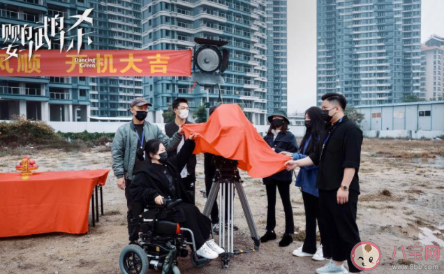 电影《鹦鹉杀》讲的是什么故事 《鹦鹉杀》有什么精彩看点