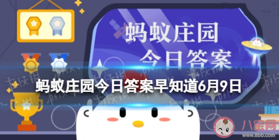 手机贴的防偷窥膜原理类似于什么 蚂蚁庄园6月9日答案