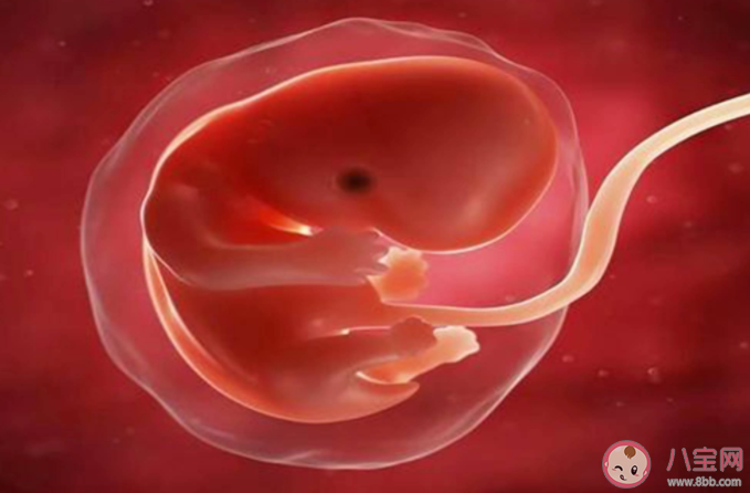 胎儿在母体内会排便吗 胎儿的尿液粪便都排到哪里了