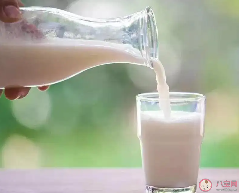 喝牛奶胸会变大吗 牛奶有丰胸的效果吗