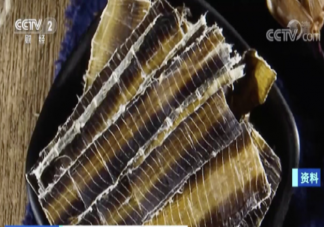 蚯蚓干价格暴涨是什么原因 蚯蚓干有什么药用价值