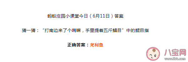 手里提了着五斤鳎目中的鳎目指什么 蚂蚁庄园6月11日答案