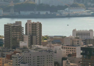 购买法拍房应该注意什么 买了法拍房遇到恶意租赁该怎么办