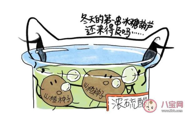 种子也会冬眠吗 蚂蚁新村6月14日答案