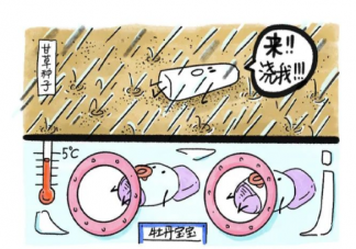 种子也会冬眠吗 蚂蚁新村6月14日答案