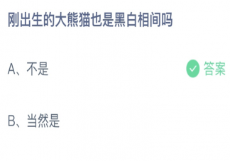 刚出生的大熊猫也是黑白相间吗 蚂蚁庄园6月16日答案最新