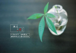 2022上半年再见下半年你好的正能量说说 2022上半年结束下半年开始的朋友圈