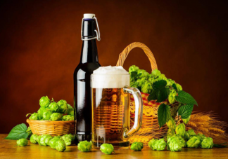 啤酒为什么必须加入啤酒花 啤酒花的作用是什么