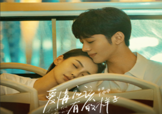 《爱情应该有的样子》讲的是什么故事 《爱情应该有的样子》小说是什么