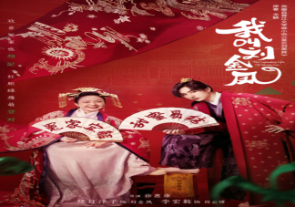 《我叫刘金凤》是根据什么小说改编的 该剧讲述了什么故事