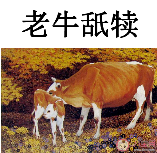 老牛舐犊和羊羔跪乳哪个成语是形容父母疼爱儿女的 蚂蚁庄园6月19日答案
