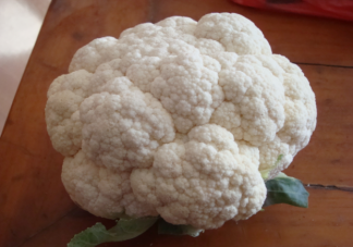 蚂蚁庄园平时吃的花椰菜主要食用的是它的哪个部分 6月22日正确答案