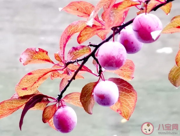 过期了一天的食物还能吃吗 食物过期多久不能吃