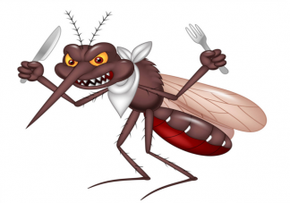 夏天是不是住高层就没蚊子了 蚂蚁庄园6月24日问题答案