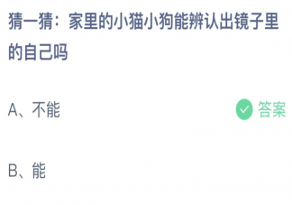 猜一猜小猫小狗能辨认出镜子里的自己吗 蚂蚁庄园6月25日答案