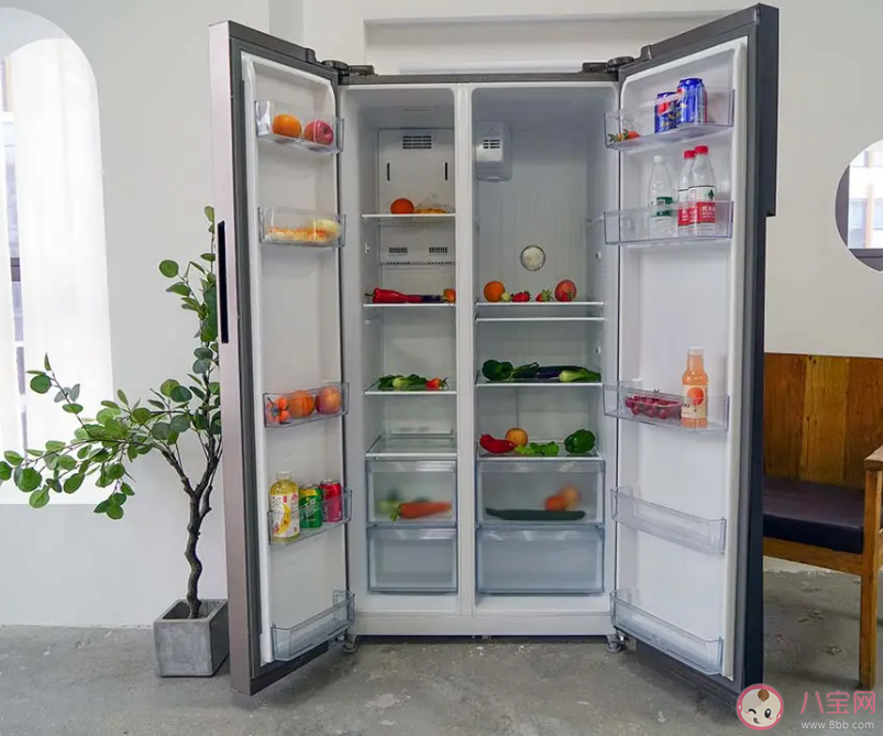 冰箱哪个牌子质量好性价比高 冰箱放在哪里最为合适 冰箱哪个牌子质量好性价比高 冰箱放在哪里最为合适