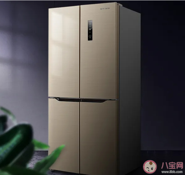 冰箱哪个牌子质量好性价比高 冰箱放在哪里最为合适 冰箱哪个牌子质量好性价比高 冰箱放在哪里最为合适