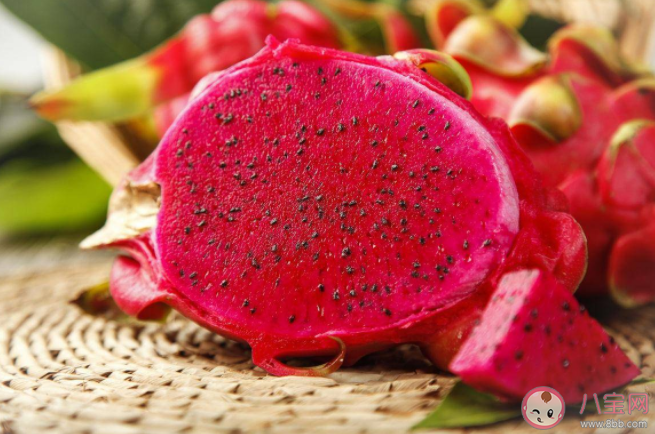 浮甘瓜于清泉沉朱李于寒水描述的是哪个场景 6月28日蚂蚁庄园答案