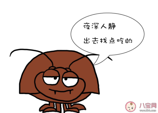 踩死一只蟑螂会有什么后果 弄死的蟑螂尸体去哪儿了