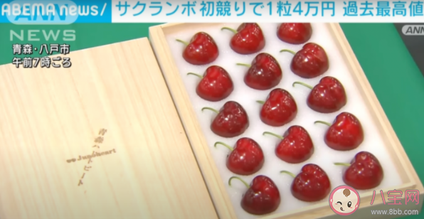 日本樱桃一颗拍出1980元天价是怎么回事 天价樱桃长什么样 日本樱桃一颗拍出1980元天价是怎么回事 天价樱桃长什么样
