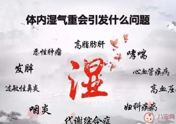 去除湿气吃什么好 体内湿气重是什么原因