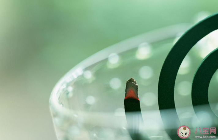 蚊香点不燃是什么原因 无烟无香的儿童专用蚊香可以长效使用吗 蚊香点不燃是什么原因 无烟无香的儿童专用蚊香可以长效使用吗