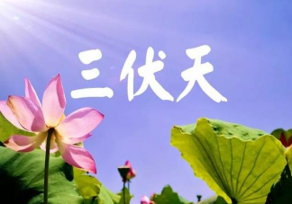2022三伏天一共多少天 为啥三伏天有的是30天有的是40天