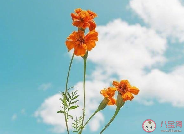 如何填报一个有潜力的志愿 填报高考志愿前要准备什么
