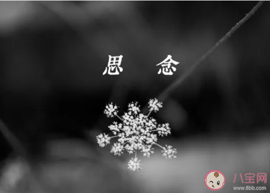 你走过的地方只剩下思念难捱是什么歌 《哪里都是你》完整版歌词在线听歌