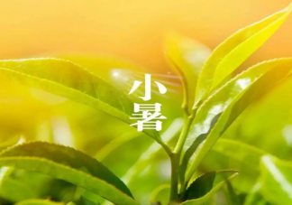 小暑节气海报优秀行业文案赏析 小暑节气海报文案句子2022