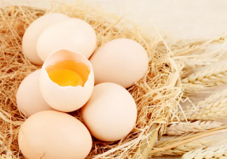 可生食鸡蛋真的能放心吃吗 要不要吃可生食鸡蛋