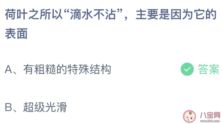 荷叶之所以滴水不沾是因为它的表面 蚂蚁庄园7月2日答案介绍 荷叶之所以滴水不沾是因为它的表面 蚂蚁庄园7月2日答案介绍