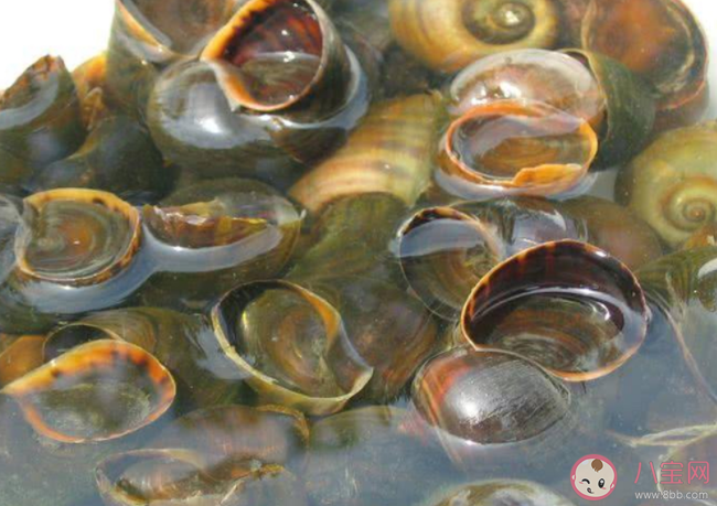 蚂蚁庄园织纹螺和椰子螺哪种螺千万不要吃 7月2日答案解析