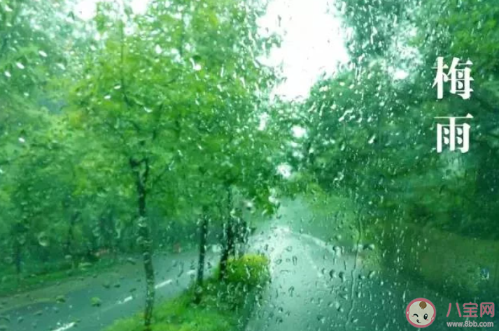 蚂蚁庄园小暑一声雷倒转做黄梅中的黄梅指什么 7月7日正确答案 蚂蚁庄园小暑一声雷倒转做黄梅中的黄梅指什么 7月7日正确答案