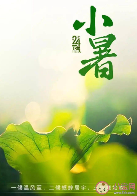 蚂蚁庄园7月7日答案介绍:小暑食新的习俗是指什么 蚂蚁庄园7月7日答案介绍:小暑食新的习俗是指什么