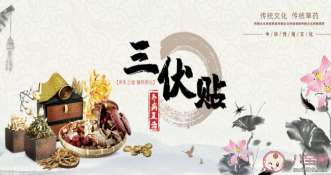 妇科疾病为什么可以冬病夏治 三伏贴能治疗妇科疾病吗 妇科疾病为什么可以冬病夏治 三伏贴能治疗妇科疾病吗