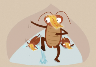 蟑螂为什么杀不完 怎样灭蟑螂最有效