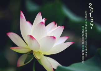 2022告别7月迎来8月的正能量励志说说 2022对7月说再见的朋友圈句子