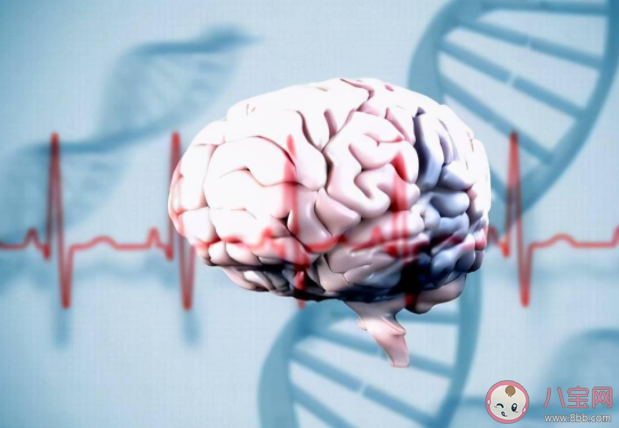 长期脑供血不足会影响智商 大脑供血不足会对智商造成什么危害 长期脑供血不足会影响智商 大脑供血不足会对智商造成什么危害