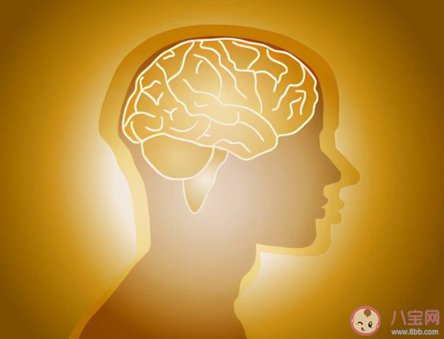 脑供血不足如何调理治疗 如何预防脑供血不足 脑供血不足如何调理治疗 如何预防脑供血不足