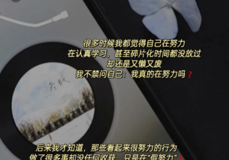怎么看待生活中的假努力 为什么很多人都是假努力