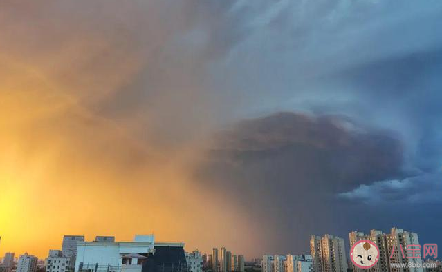 此次高温影响范围有多大 为什么极端高温越来越多