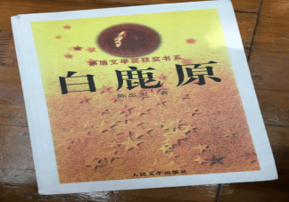 盗版书重金属含量高可能会影响儿童大脑发育 盗版书有哪些危害