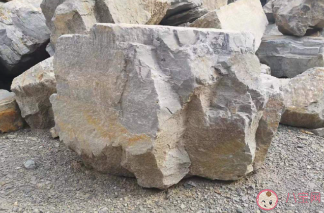 电动汽车热销会导致过度采矿吗 电动汽车热销会带来哪些影响